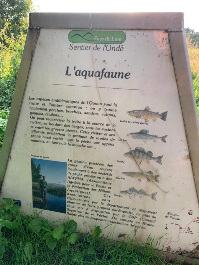 Les Jardins D'Elise, Calme Et Verdure A Lure Lure  Exterior photo