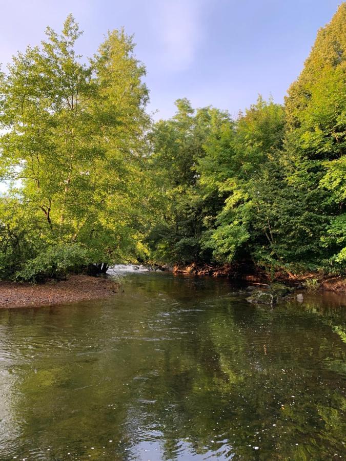 Les Jardins D'Elise, Calme Et Verdure A Lure Lure  Exterior photo